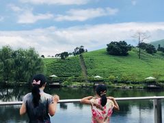 -帐篷客·溪龙茶谷度假酒店