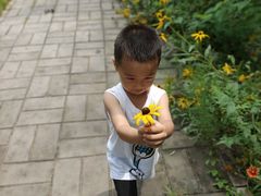 -廊坊市自然公园