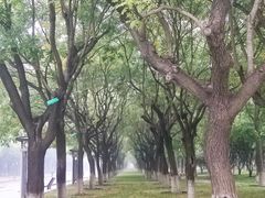 -永定门南广场