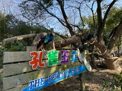-宁波野生动物园