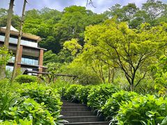 -青城山