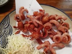 章鱼香肠-百步拉面