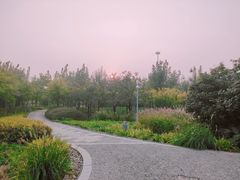 -东疆建设开发纪念公园