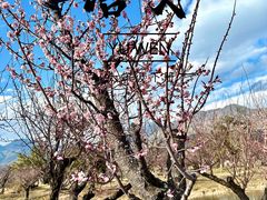-玉龙雪山蓝月谷