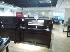 -柏斯音乐艺术中心·钢琴·吉他(上音店)
