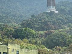 -深圳仙湖植物园