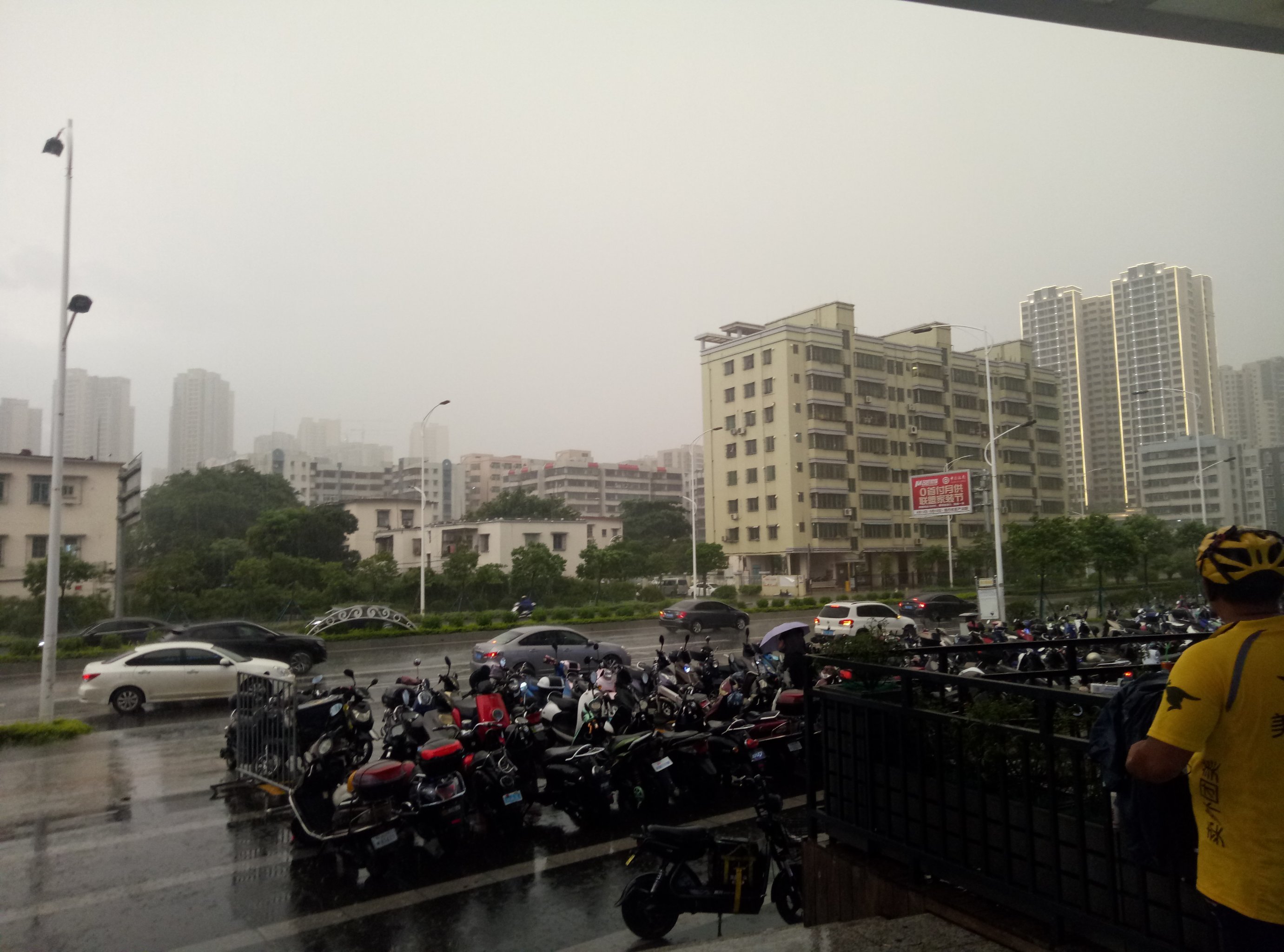 广东省湛江市天气