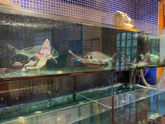 -万鱼亭 日本料理(无锡香山名园店)