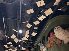 -九又四分之三站台哈利波特商店