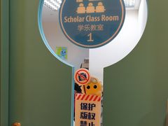 -月星环球港赢在起点早教中心·亲子托班早教体验课儿童兴趣班逻辑思维专注力幼小衔接(普陀中心)