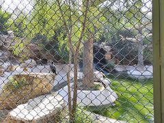 -石家庄市动物园