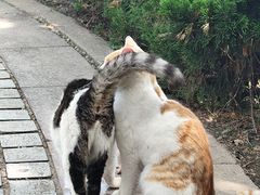 -五四广场