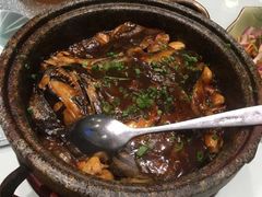 -海派美食·家宴海鲜青岛菜·石锅鲽鱼头(东方城店)