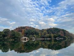 -杭州半山国家森林公园