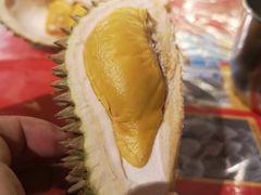 -都念榴莲·城市榴莲