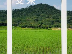 -艾米稻香小镇