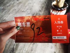 -锐擎卡丁车主题乐园(郊野公园店)