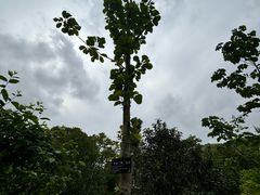 -上海植物园-4号门售票处