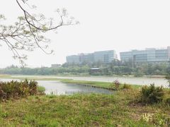 -华侨城湿地公园
