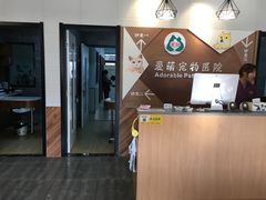 -美联众合宠物医院·爱萌分院·内外科·猫科中心