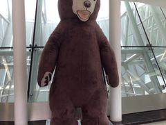 -济州岛泰迪熊博物馆