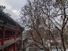 -潭柘寺景区