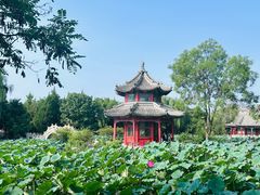 -莲池书院博物馆