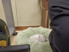 -中田健身工作室(深圳南油店)