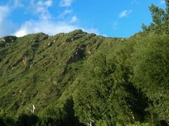 android_upload_pic-白河湾生态旅游一条川