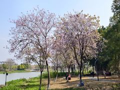 -海珠湖公园