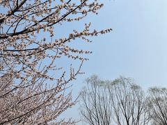 -北坞公园