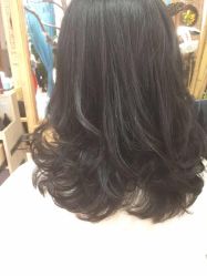 -渼树MSUTREE连锁沙龙