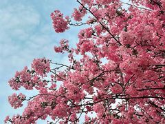 -苏州工学院(东湖校区)