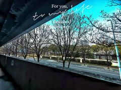 -上海当代艺术博物馆
