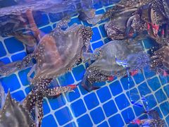 -渔民船说·北塘海鲜·天津菜·海肠捞饭(北塘古镇店)