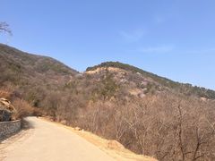 -北京西山国家森林公园