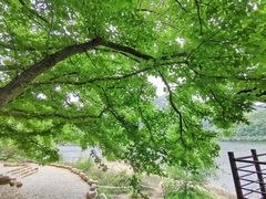 -广州市石门国家森林公园