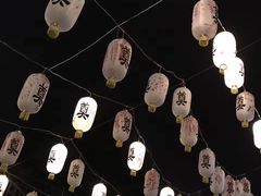 -国色天乡三期陆地乐园