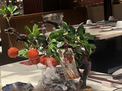 -唐猫庭院·千年陕菜(大唐不夜城店)