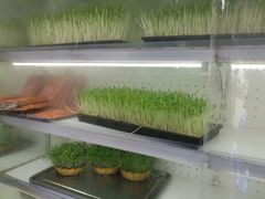 -大龙老火锅·总店(龙头寺店)