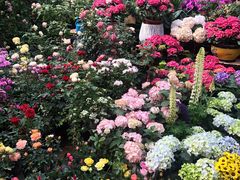 -秦美花卉(天朗·莱茵小城2期店)