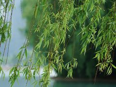 -天鹅湖体育公园