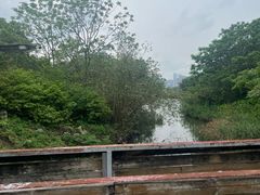 -华侨城湿地公园