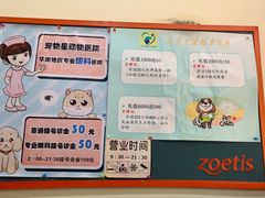 -宠物星动物医院·眼科·异宠·猫科(江南大道总院)