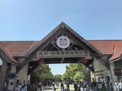 -上海海湾国家森林公园