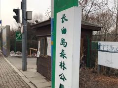 -长白岛森林公园
