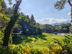 -四季酒店下午茶