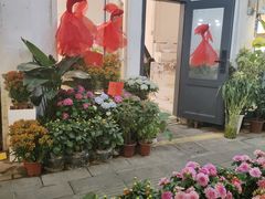 -溪岸路花鸟市场