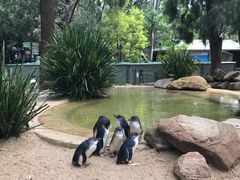 -费瑟代尔野生动物园