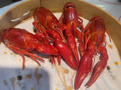极品靓靓蒸虾-靓靓蒸虾·头牌蒸虾(南山桂庙店)